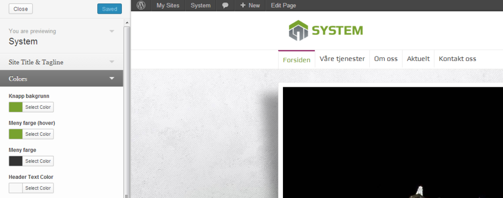 simple-customize-preview